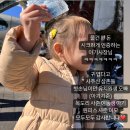 벼룩시장, 4살 아기 최연소 플리마켓 셀러로 참여한 후기(참여방법, 준비물 및 비용, 아이 경제교육 등)