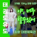 대명태권도 체육관 이미지