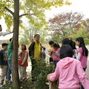 위림초등학교 이미지