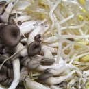 행복한국밥 이미지