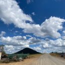 진자농장 이미지