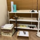 바른자세척추운동 이미지