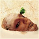 그대안의 풍경 이미지