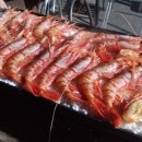 독도게스트하우스 이미지