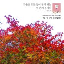 힐링스케치 연필드로잉 이미지