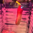 자바라 진량점 이미지