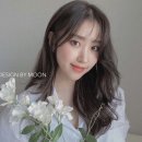 디자인바이비 이미지