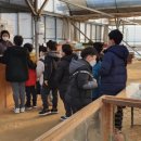 백마농장3 이미지