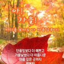 🍁졎은낙엽은되지말자 이미지