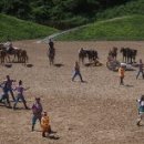 더마파크 공연장 이미지