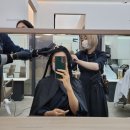 양지카크리닉 네이버블로그
