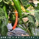 미래농약사 이미지