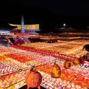 삼광사 티스토리