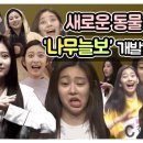 민튜브 이미지