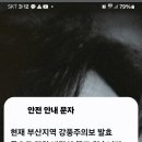 다부 이미지