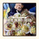 조개를 까는 사람들 | 보령 대천해수욕장 조개구이 맛집 조개까는남자 강아지 동반 후기