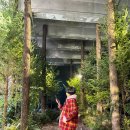 에버그린에너지(주) 이미지