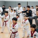 용인대 하나 태권도 이미지