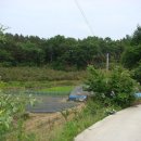 다은농장 이미지