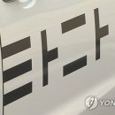 타다서울 이미지