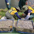 자연알로(성남) 이미지