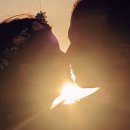 Elvis Presley - Burning Love 이미지