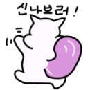 도배마스터 이미지