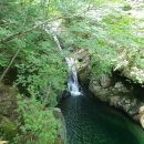 개미와 베짱이 이미지