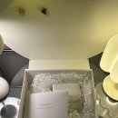 원남우체국 | 까르띠에 클래쉬 드 링 로즈골드 스몰, 매장 안 가고 공홈 주문 성공한 사이즈 팁!