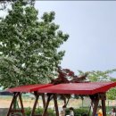 금릉초교 병설유치원 이미지