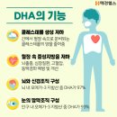 D-3 | 오메가3 비타민D 효능 부작용 복용시간 섭취 후기