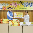 귀일민들레집 데일리안