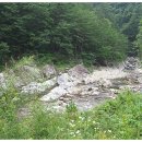 법수치통나무산장 이미지