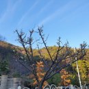 풍년식품기계 이미지