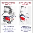 서울리더스치과 이미지