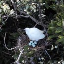 다려도이야기 이미지