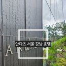 (주)서울파마 | 서울 호캉스 안다즈 서울 강남 객실 및 수영장 조각보 조식 후기