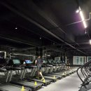 KM스포렉스2 이미지