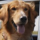 어게인트립 이미지