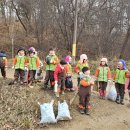 폴짝폴짝 이야기 숲 이미지