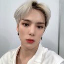 cherish puppy 이미지