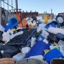 보라자원 이미지