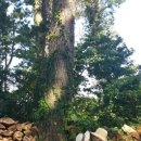 은지목장 이미지