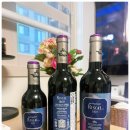 WSET Level 2 Award in Wines 네번째 시간 가메 스페인 템프라니요 가르나차 리스칼 1860, 마르께스 데...