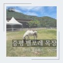 포레뷰1차 | 벨포레 목장 - 저렴한 가격에도 아쉬움, 한여름 방문 후기!