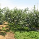 이경희농장 이미지