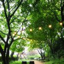 정원산책 카페 이미지