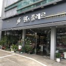 원스플레르 | 추천] 포항 어버이날 기념일 꽃다발 화분 추천 다양한 종류의 꽃이 있는 원스플레르 카네이션 구매 후기