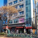 젤리펫살롱 | 선유도미용실 담다살롱 푸 디자이너 히피펌 강추