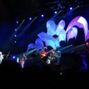 예스(yes)디자인 Daum카페